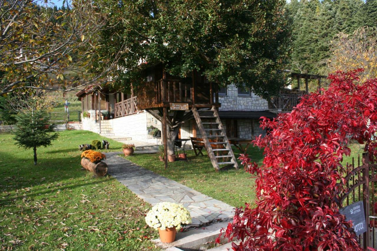 Villa Filokosta Pertouli Extérieur photo
